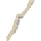 Ekena Millwork 6"H x 4 1/8"P x 7 1/4"F x 94 1/2"L Large Elegant Hampshire Crown Moulding MLD06X04X07HA - alternate 5
